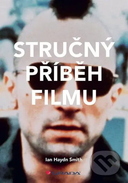 Stručný příběh filmu - Haydn Ian Smith - kniha z kategorie Film