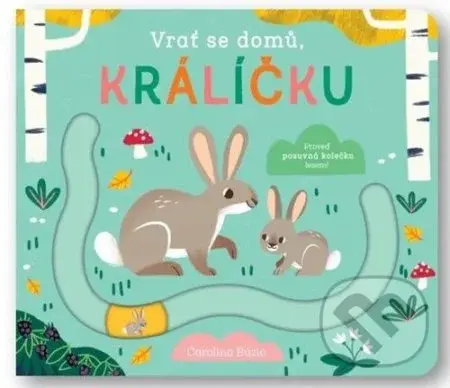 Vrať se domů, králíčku - kniha z kategorie Pro děti