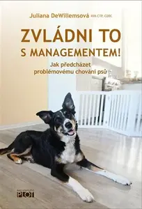 Zvládni to s managementem! - Juliana DeWillemsová