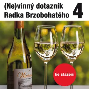 (Ne)vinný dotazník Radka Brzobohatého 4. - audiokniha