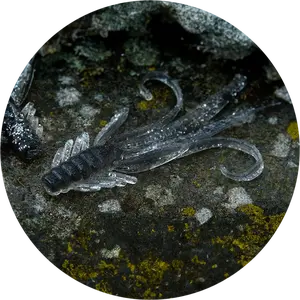 Redbass gumová nástraha nymfa natur g - x 100 mm