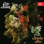 Petr Novák – Kráska a zvíře