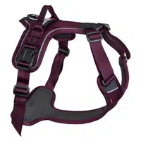 NON-STOP Dogwear Ramble postroj pro psy fialový, Velikost: XS