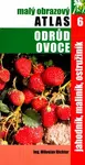 Jahodník, maliník, ostružiník - Miloslav Richter