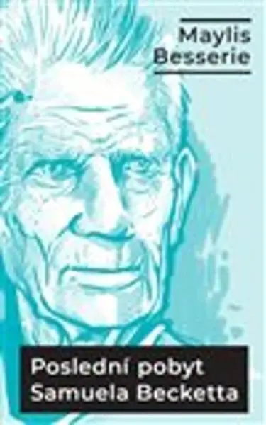 Poslední pobyt Samuela Becketta - Maylis Besserie