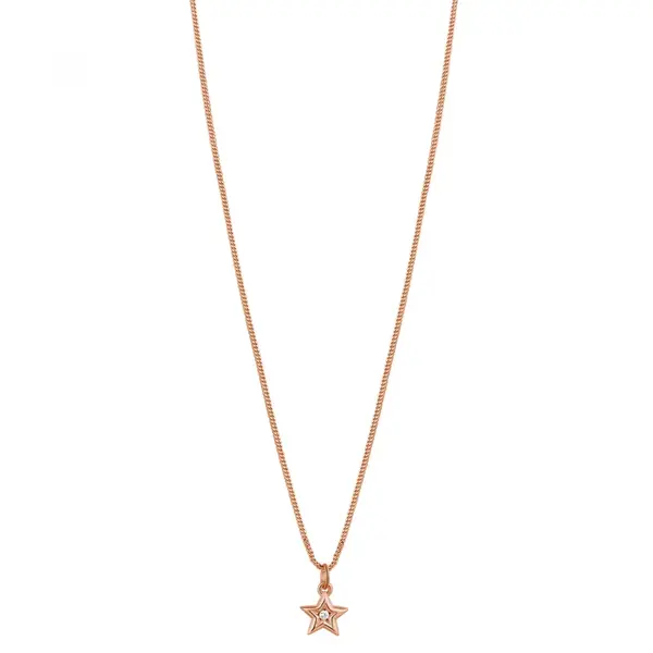 Rosato Něžný bronzový náhrdelník Hvězda Allegra RZAL038 (řetízek, přívěsek)