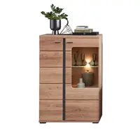 Cantus VITRÍNA, jasan, dub artisan, barvy jasanu, 90/134/38 cm