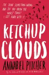 Ketchup Clouds - Annabel Pitcher