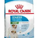 Royal Canin mini starter 1kg