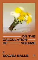 On the Calculation of Volume II - Balle Solvej