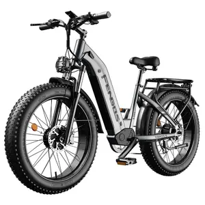FENGQS H2 Pro Electric Bike 1000W Dual Motor 52V 20Ah 50km/h Grey