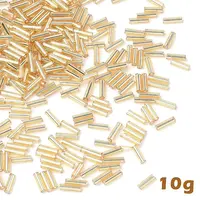 10G Glass Bugle Beads