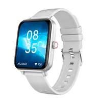 NICEBOY Watch Lite 4 Arctic Silver