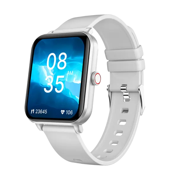 NICEBOY Watch Lite 4 Arctic Silver
