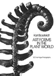 Art Forms in the Plant World - Karl Blossfeldt