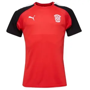 Puma TEAMPACER JERSEY TEE - ZBROJOVKA BRNO Pánské fotbalové triko, červená, velikost