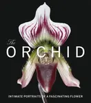 The Orchid - David Berry