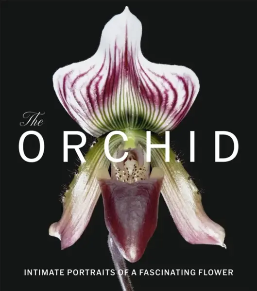 The Orchid - David Berry