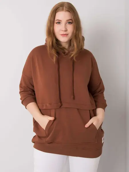 Sweatshirt-RV-BL-6917.74P-dark brown