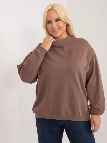 Sweatshirt-RV-BL-6299.11-brown