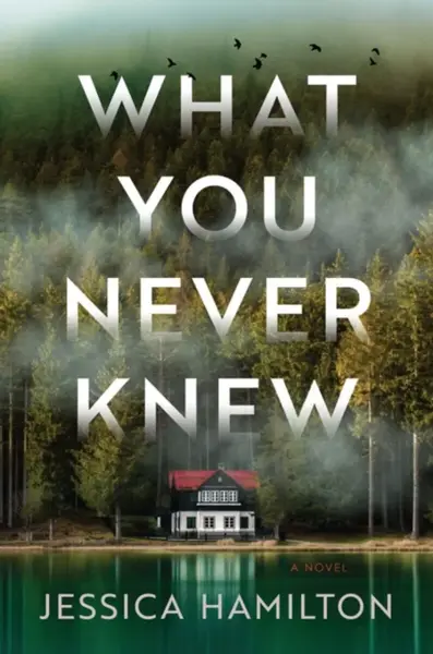What You Never Knew - Jessica Hamilton