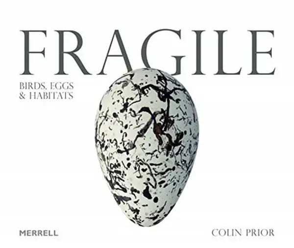 Fragile: Birds, Eggs & Habitats - Colin Prior
