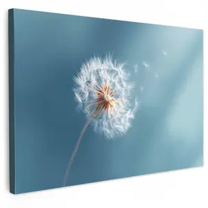 MuchoWow OBRAZ NA PLÁTNĚ Pampeliška - vítr - modrá 120x80 cm