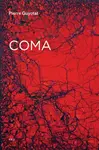 Coma - Pierre Guyotat