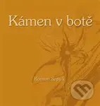 Kámen v botě - Roman Szpuk - kniha z kategorie Poezie