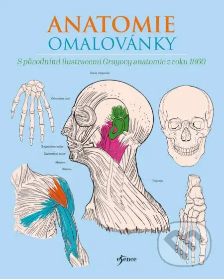 Anatomie omalovánky - Henry Carter, Henry Gray - kniha z kategorie Medicína