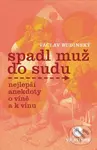 Spadl muž do sudu (Nejlepší anekdoty o víně a k vínu) - Václav Budinský