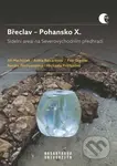 Břeclav – Pohansko X. (Sídelní areál na Severovýchodním předhradí) - kniha z kategorie Historie