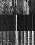Světlo a hmota - Libor Teplý, Petr Vrbacký