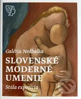 Slovenské moderné umenie (Stála expozícia) - Zsófia Kiss-Szemán - kniha z kategorie Malířství a sochařství