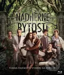 Nádherné bytosti - Richard LaGravenese - film z kategorie Rodinné a romantické