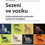 Sezení ve vozíku - Lia Vašíčková - e-kniha