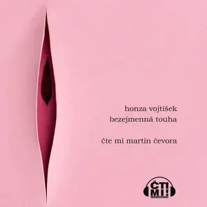 Bezejmenná touha - Honza Vojtíšek - audiokniha