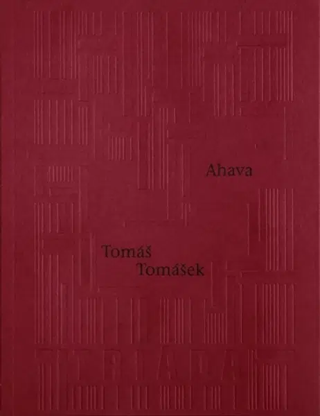 Ahava - Tomáš Tomášek - e-kniha