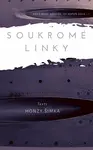 Soukromé linky - Honza Šimek