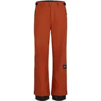 O'Neill FWC'PLAY SNOW Pánské lyžařské/snowboardové kalhoty, hnědá, velikost
