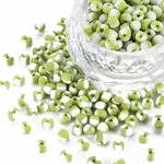 6/0 Glass Seed Beads