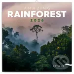 NOTIQUE Nástenný poznámkový kalendár Amazing Rainforest (Dažďové pralesy) 2026