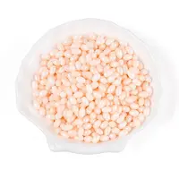 Opaque Colours Luster Glass Seed Beads