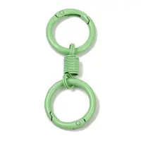 Alloy Spring Gate Clasps