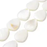 Natural Freshwater Shell Beads Strands
