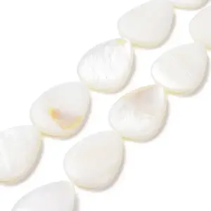 Natural Freshwater Shell Beads Strands