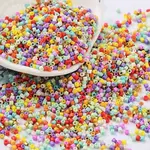 Baking Paint Glass Seed Beads