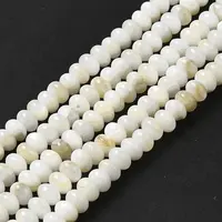 Natural Freshwater Shell Beads Strands