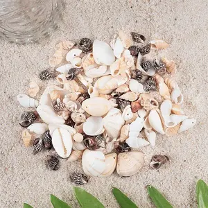 Spiral Shell Pendants/Beads