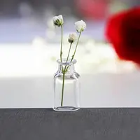 Transparent Miniature Glass Vase Bottles